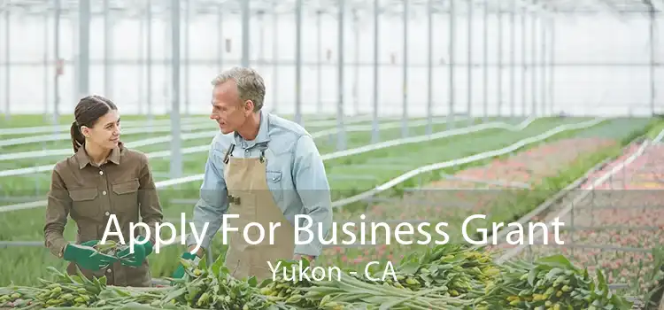 Apply For Business Grant Yukon - CA